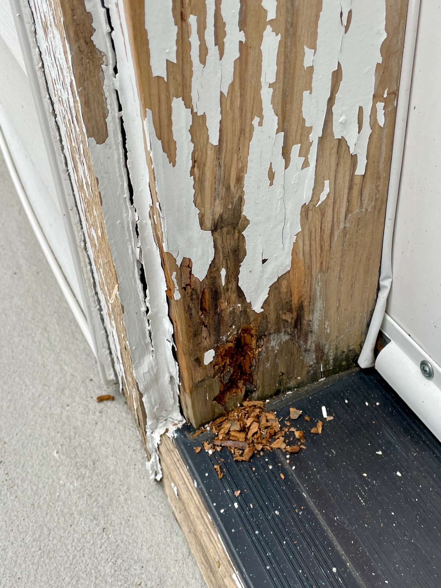 Dry rot repair and exterior restoration on a Seattle-area home (photo 27 of 40)
