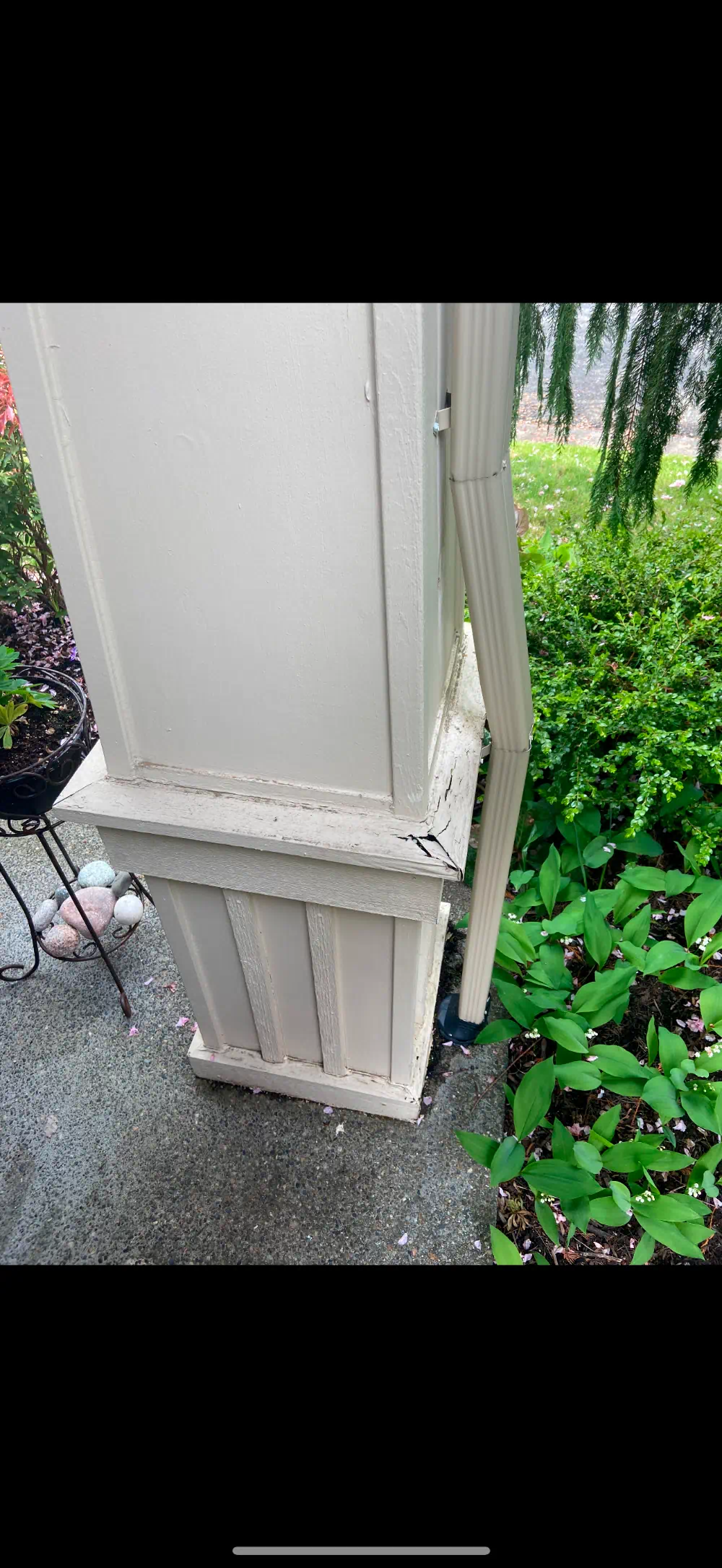 Replaced exterior trim and finished siding on a Seattle-area building (photo 1 of 7)