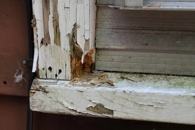Exterior Trim Repair
