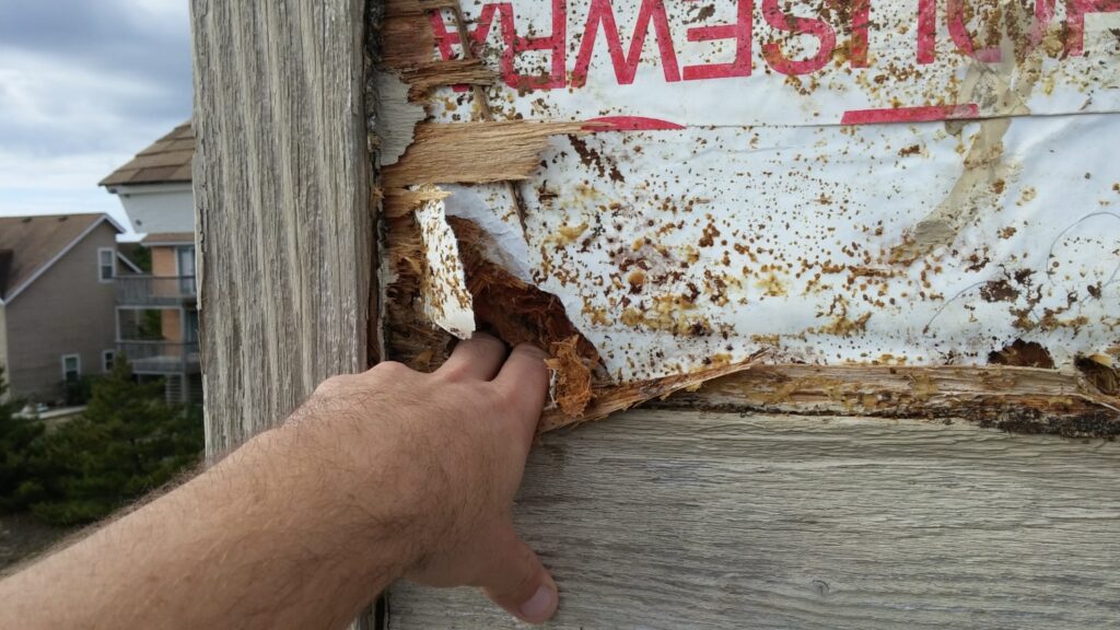 man putting his fingers into moldy dry rot house siding