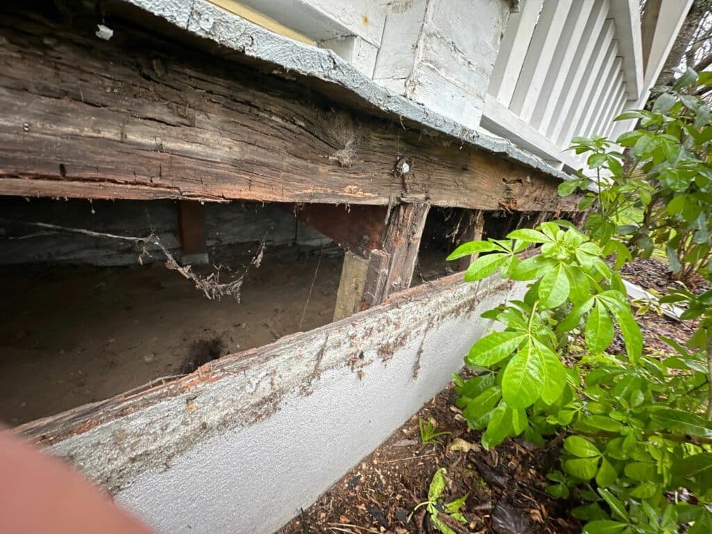 dry rot under a seattle home