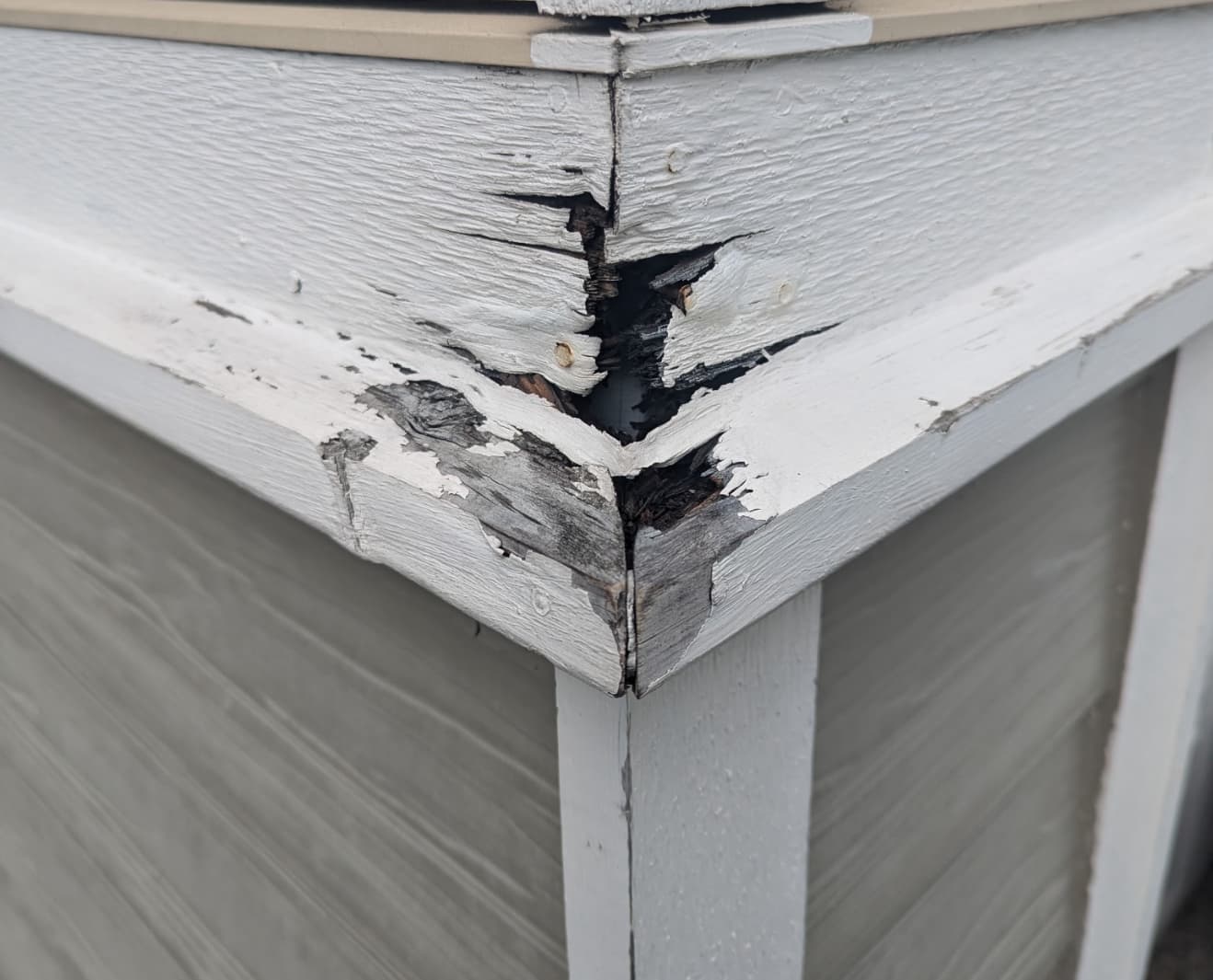 Before repair